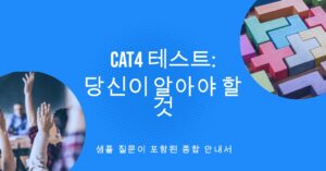 CAT4 테스트