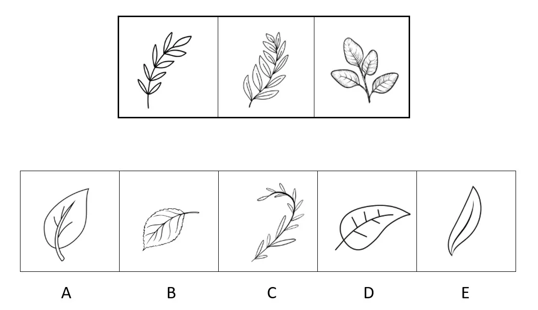 Three sample shapes above options A–E