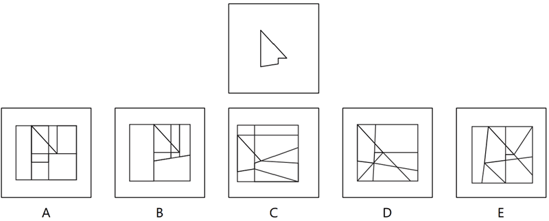 CAT4 Level G Figure Recognition sample question. At the top, a single test box contains the target shape: a narrow arrowhead or cursor outline with a near-vertical left edge falling from a top point to a bottom-left corner, a diagonal right edge running from the lower area back up to that top point, a small square notch cut into the lower-right, and a base that tilts very slightly upward to the right. Below are five answer boxes labelled A to E, each a square filled with many overlapping straight lines in which the target may be hidden. The task is to find the option that contains the target at exactly the same size and the same orientation, with no rotation, flipping, or resizing.